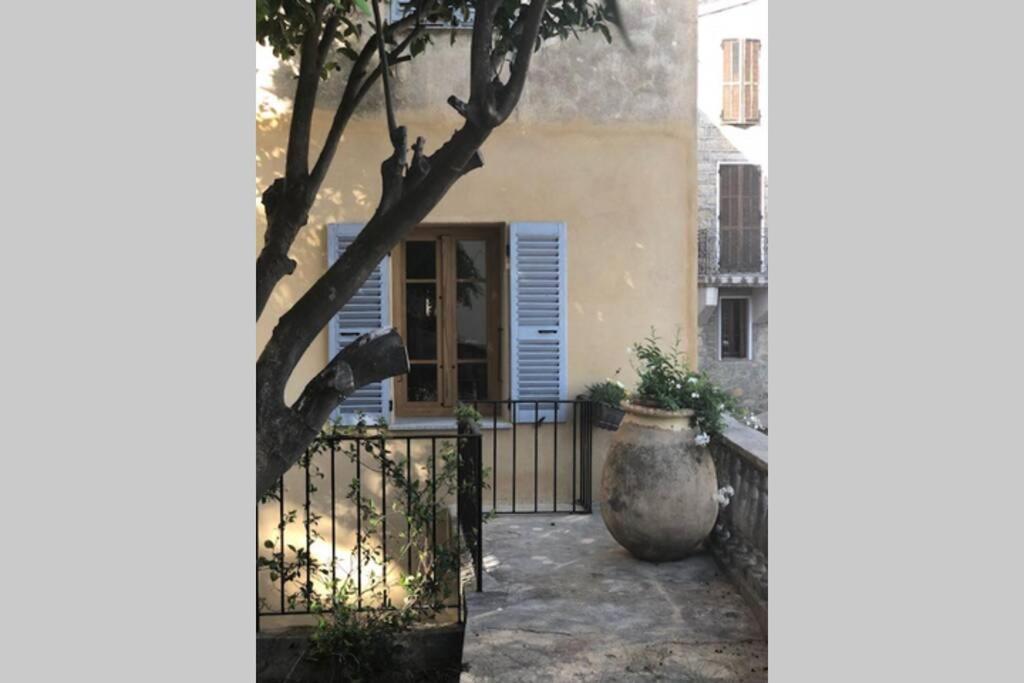 Appartement De Charme A Olmeto Olmeto  Luaran gambar